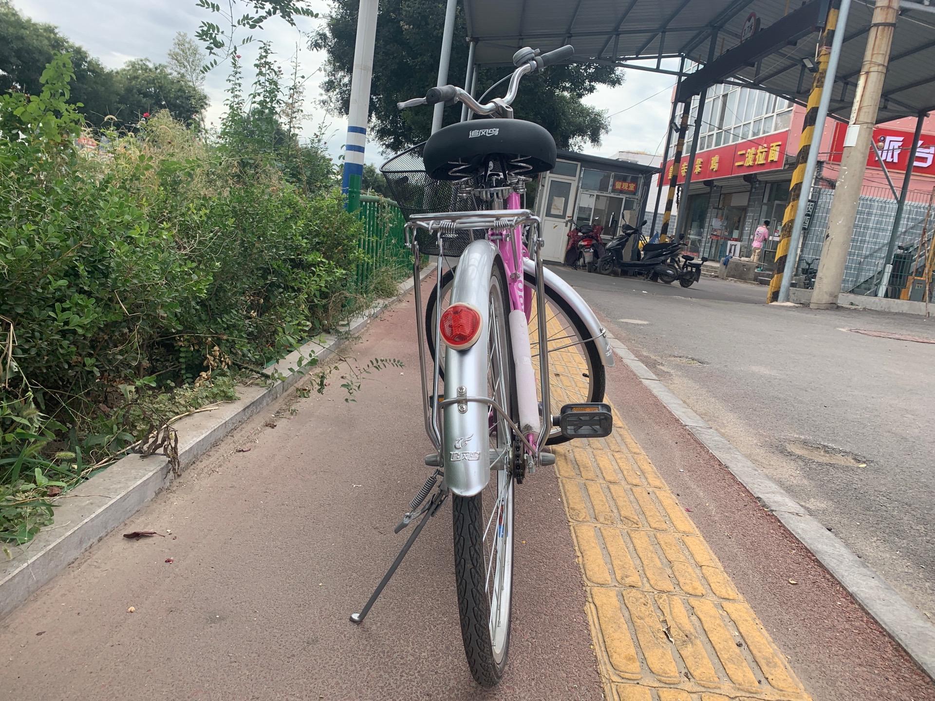 99新追风鸟自行车.买了半年一直存放,百分百好骑