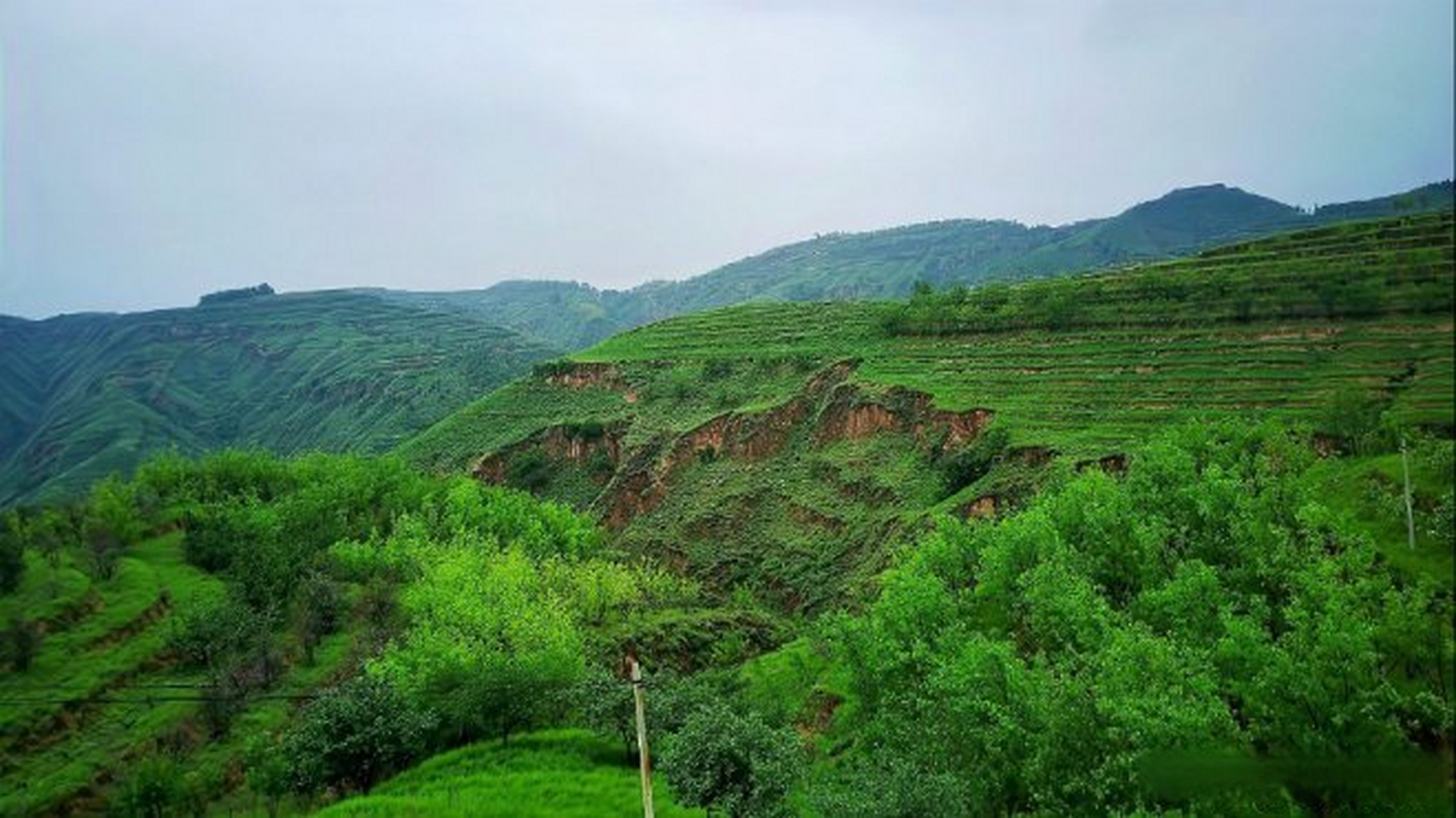 用80年治理水土流失后,看看现在的黄土高原,变成了什么样子?