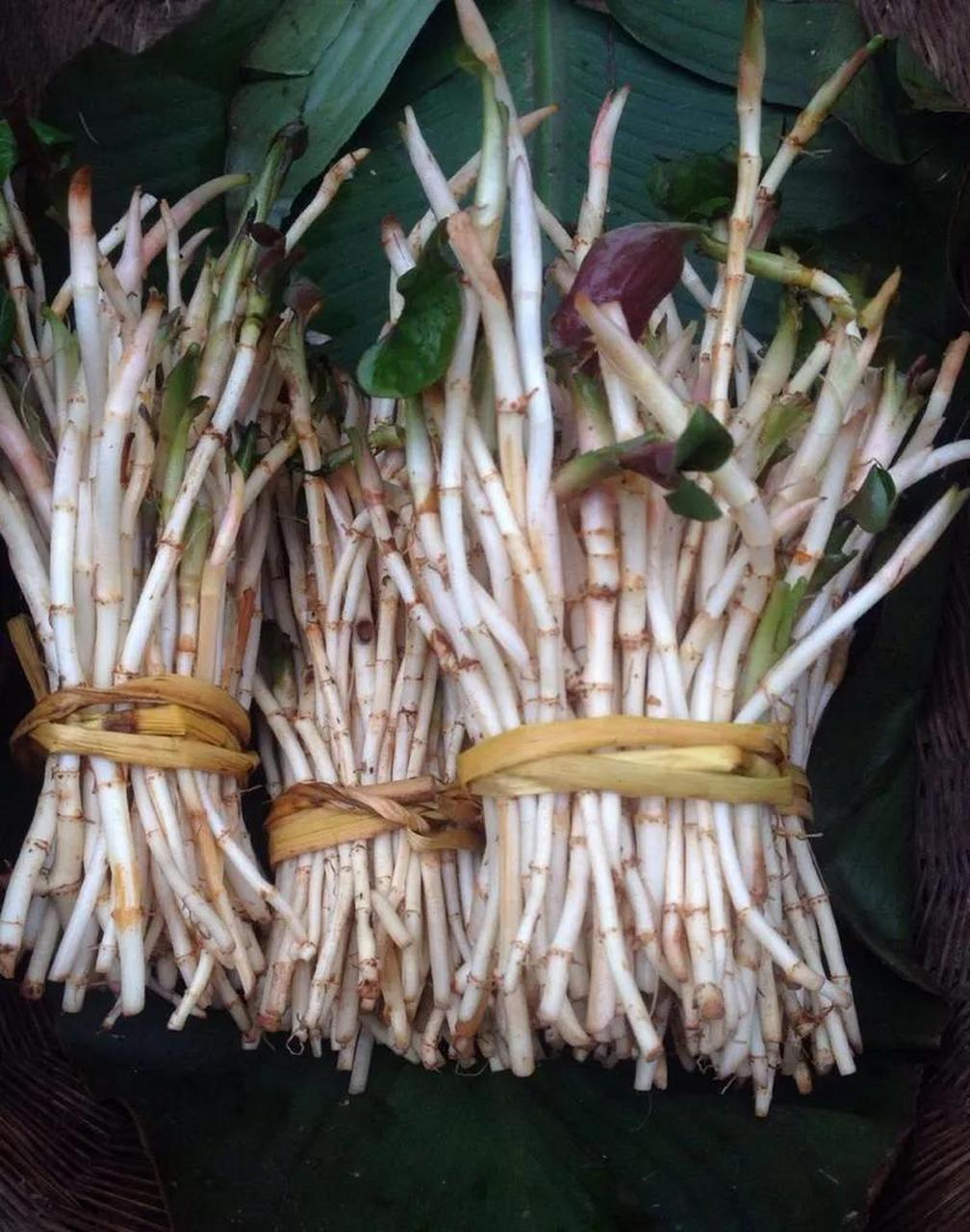 折耳根是不是鱼腥草? 折耳根确实是鱼腥草的一种俗称.学名为houttuyni