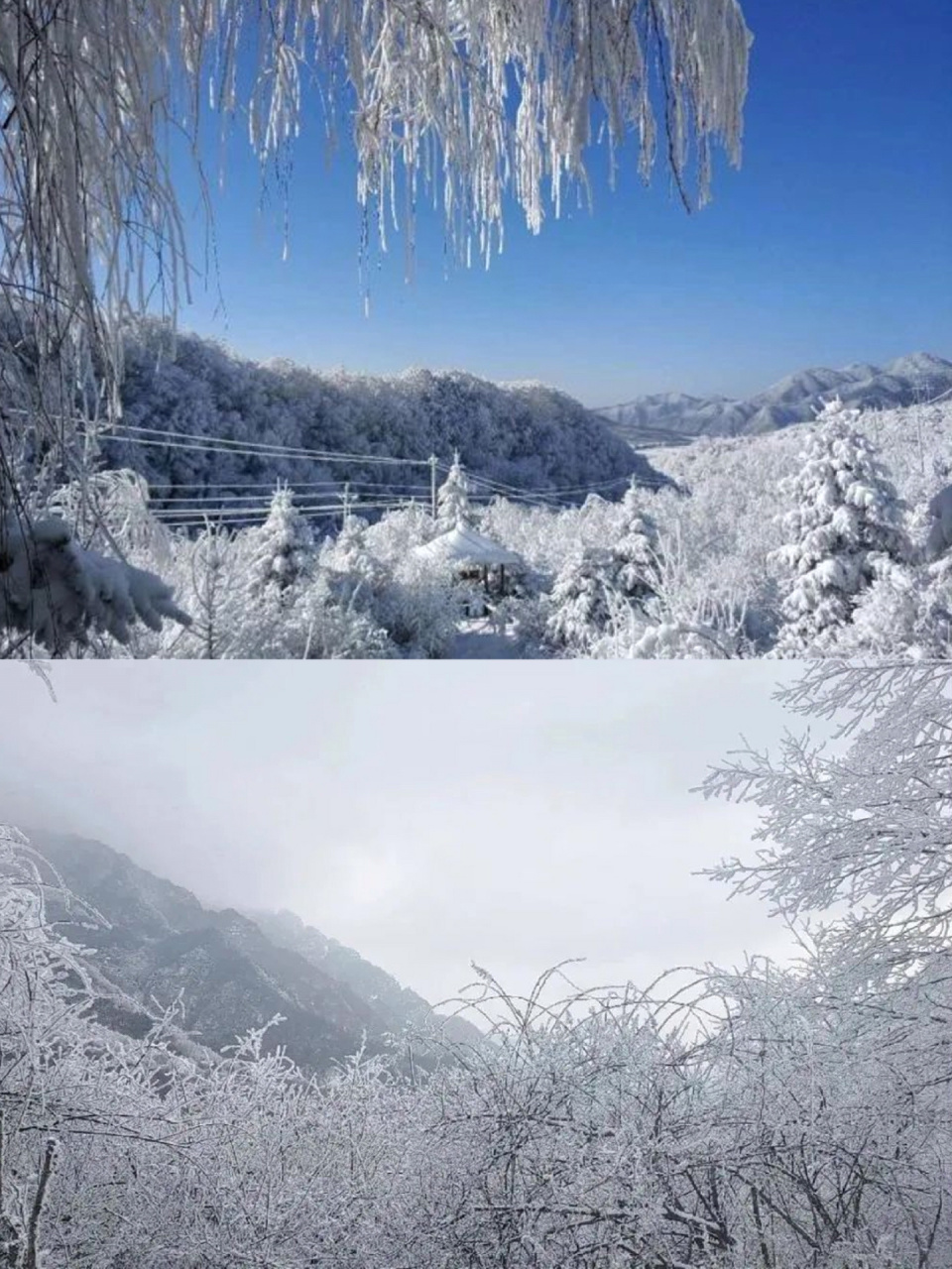 岭南公园雪景图片