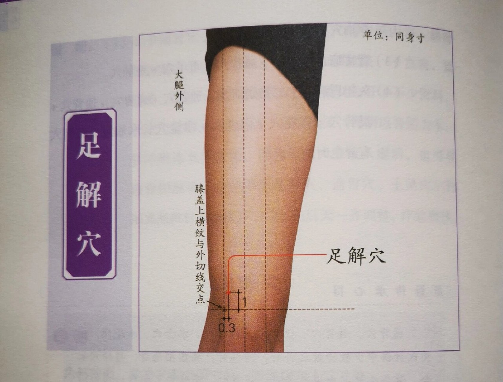 董氏奇穴～～足解穴 取穴 大腿前面,膝盖外侧上缘(即膝盖上横纹与外