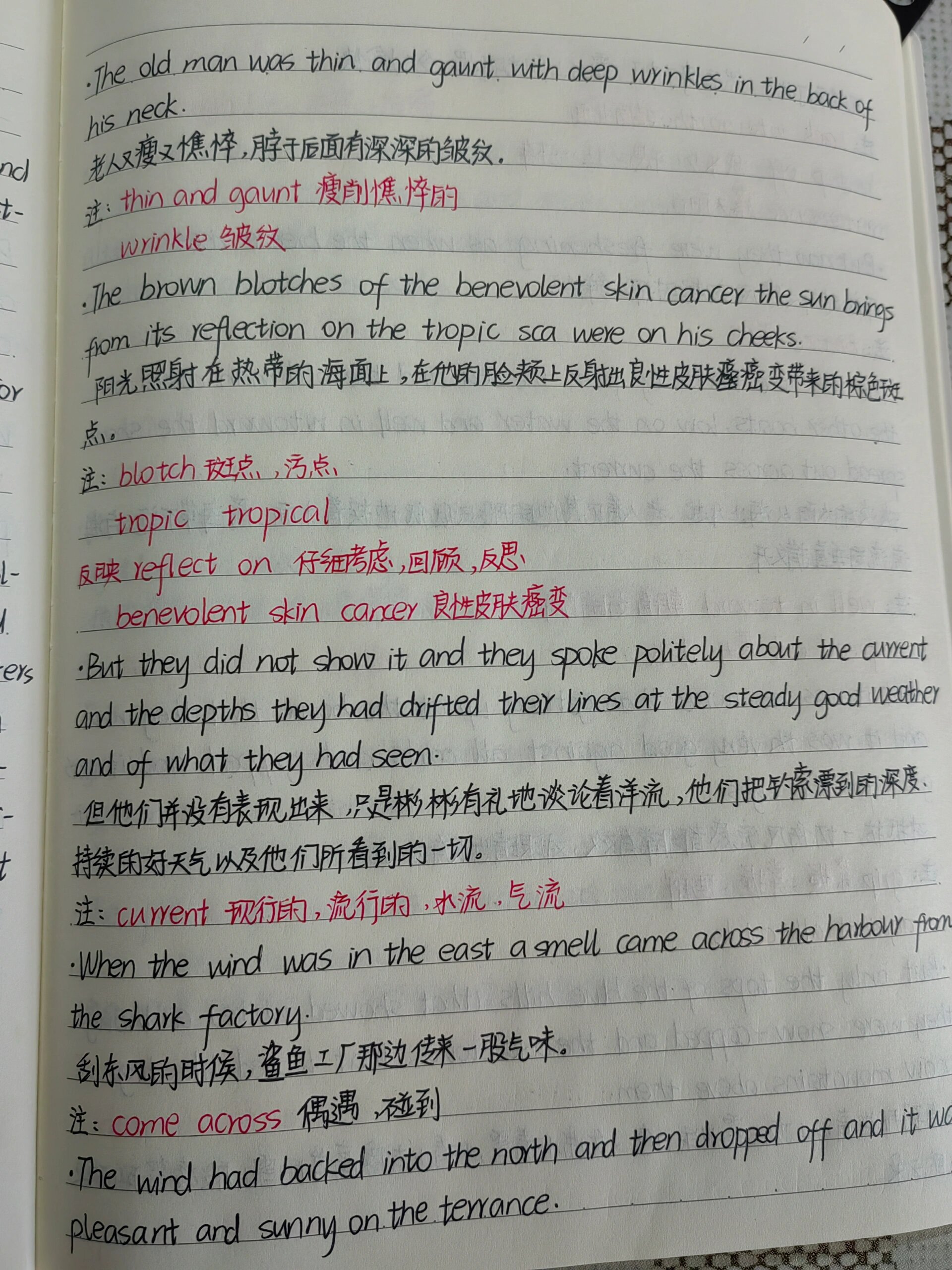 老人与海英文读书笔记