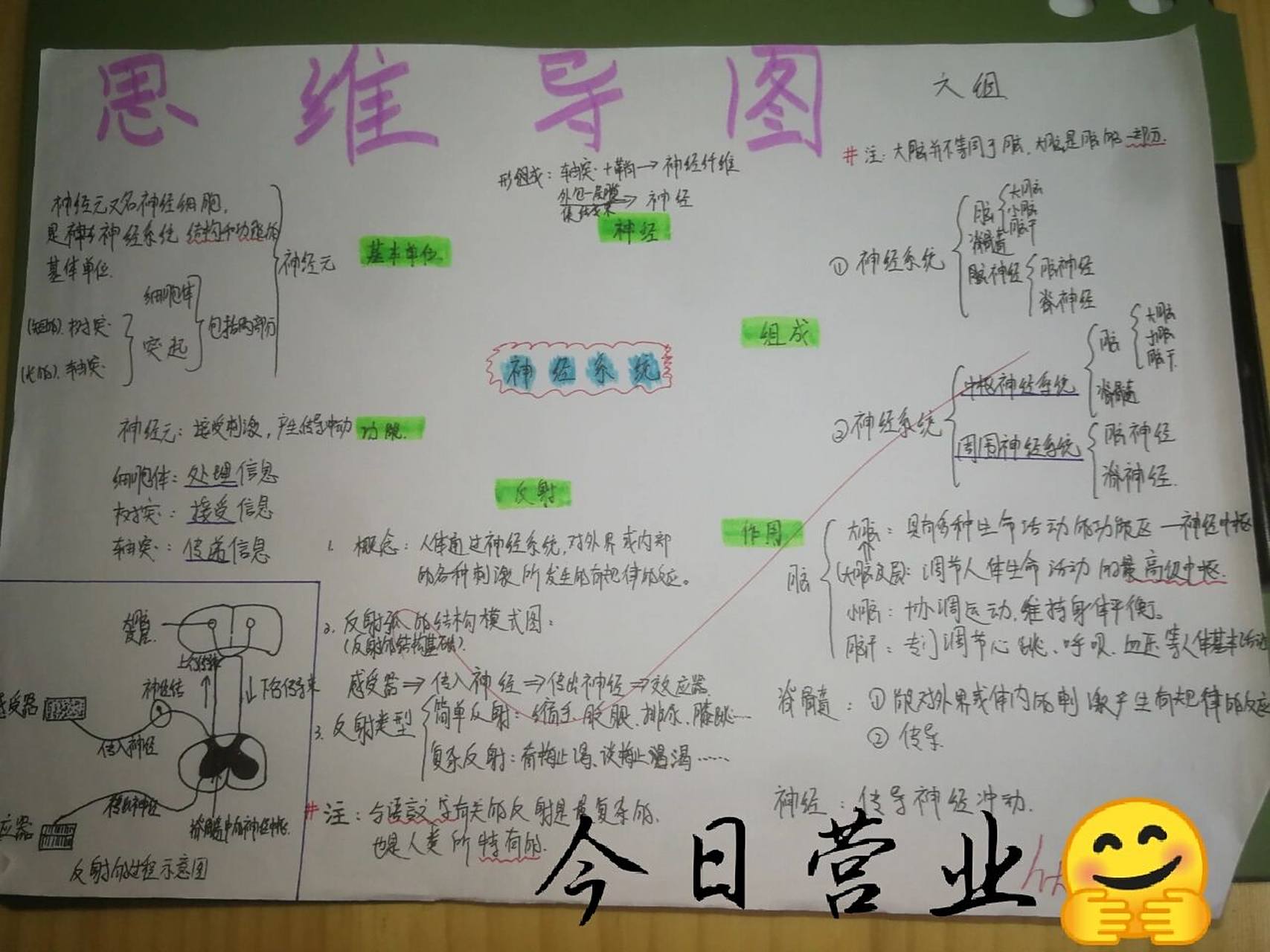 七下生物神经系统思维导图