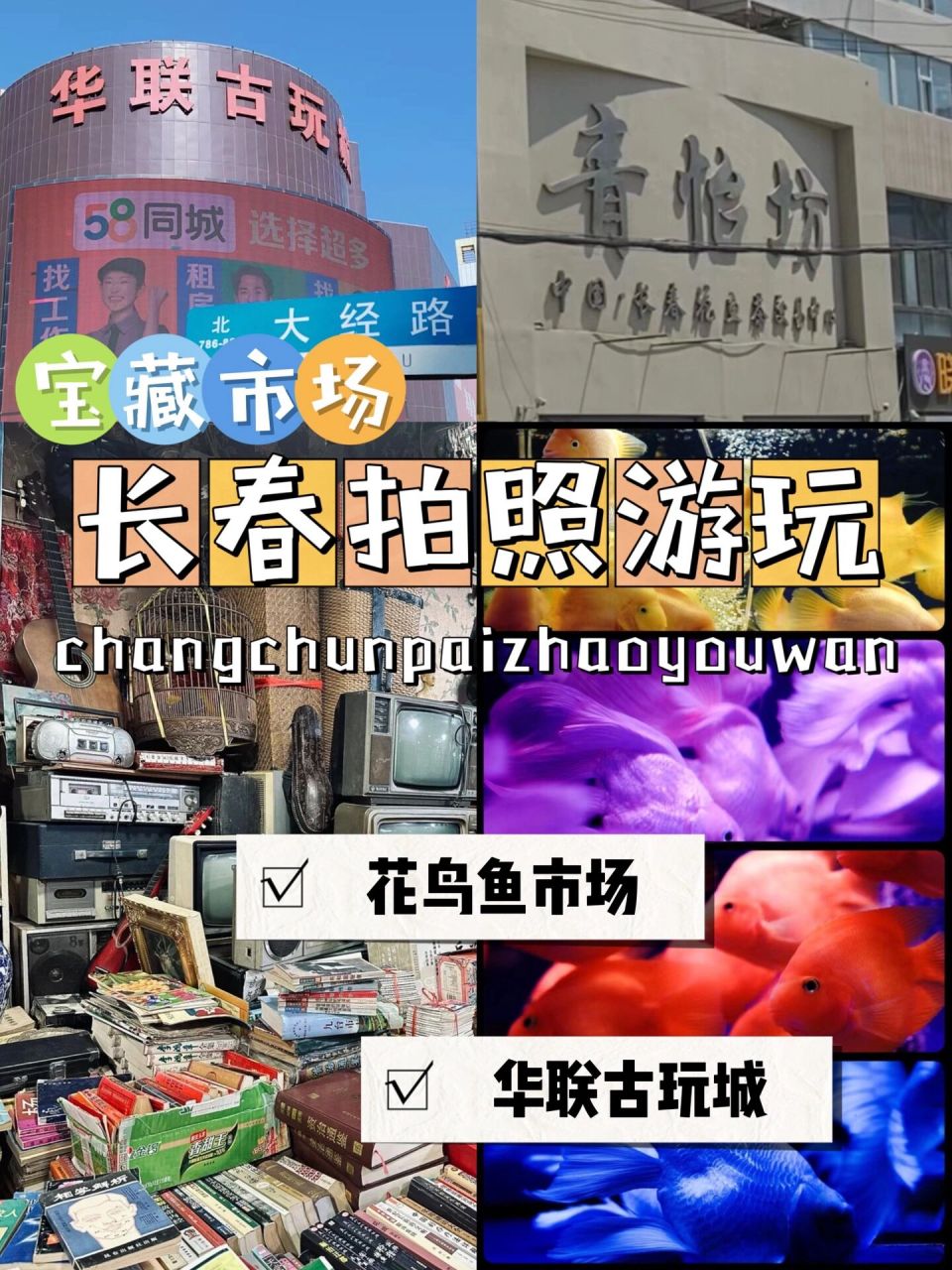 长春拍照游玩,花鱼市场古玩城 96一定要来的长春市场,给生活多一些