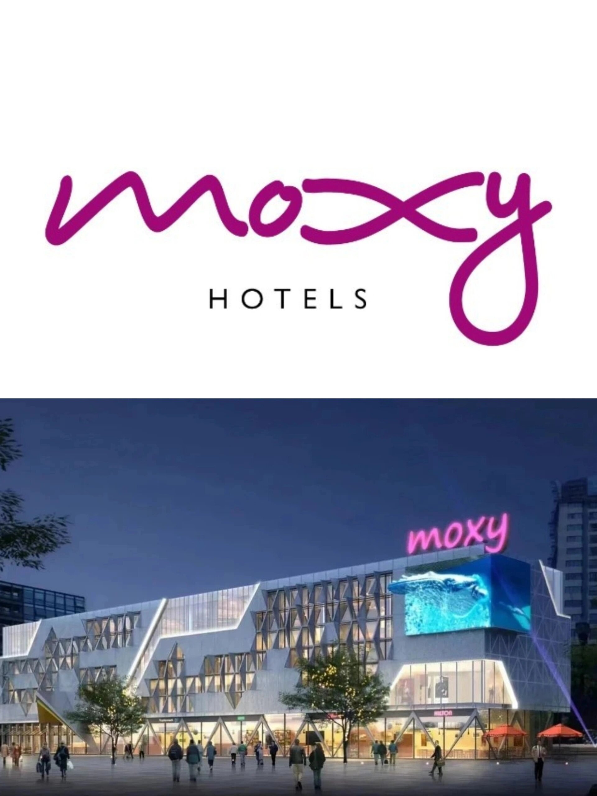 首店 | 年轻潮人最爱的moxy酒店来宁波啦 品牌:宁波moxy酒店 (浙江