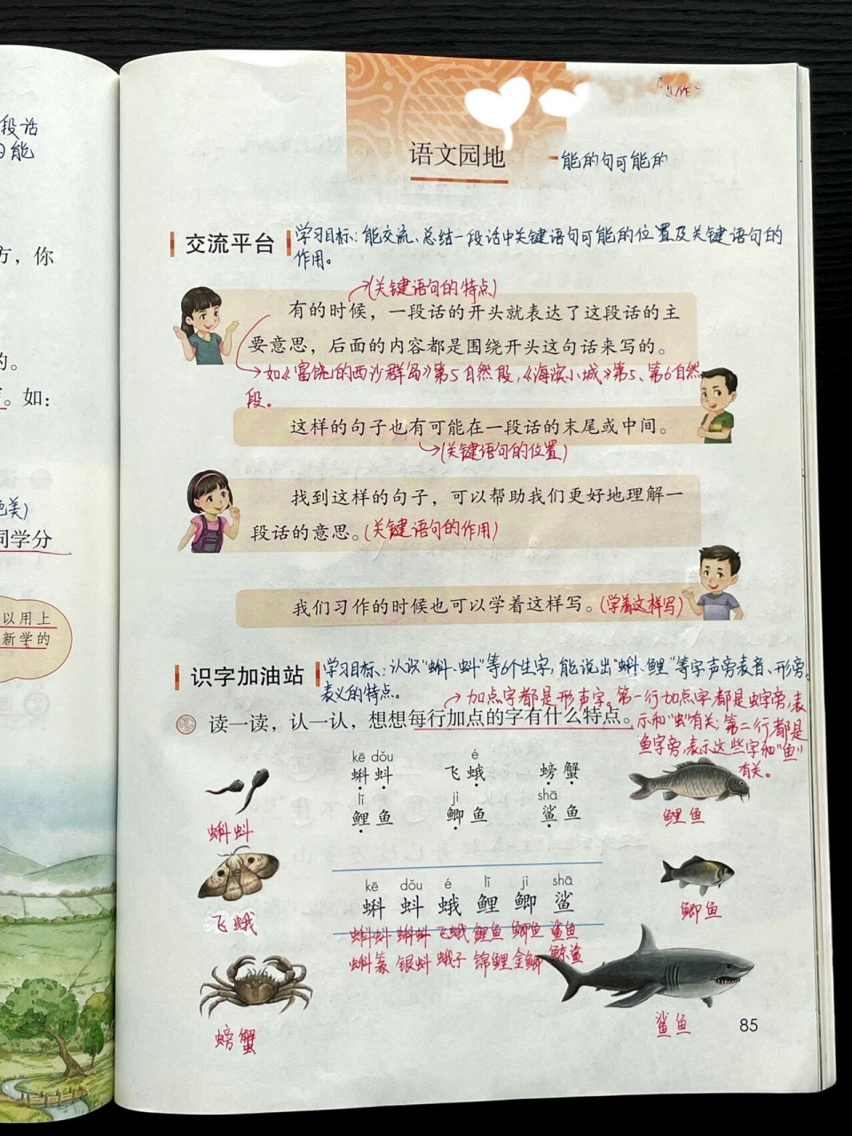 三上|三年级上册语文园地六超详细课文笔记 部编版三年级上册习作