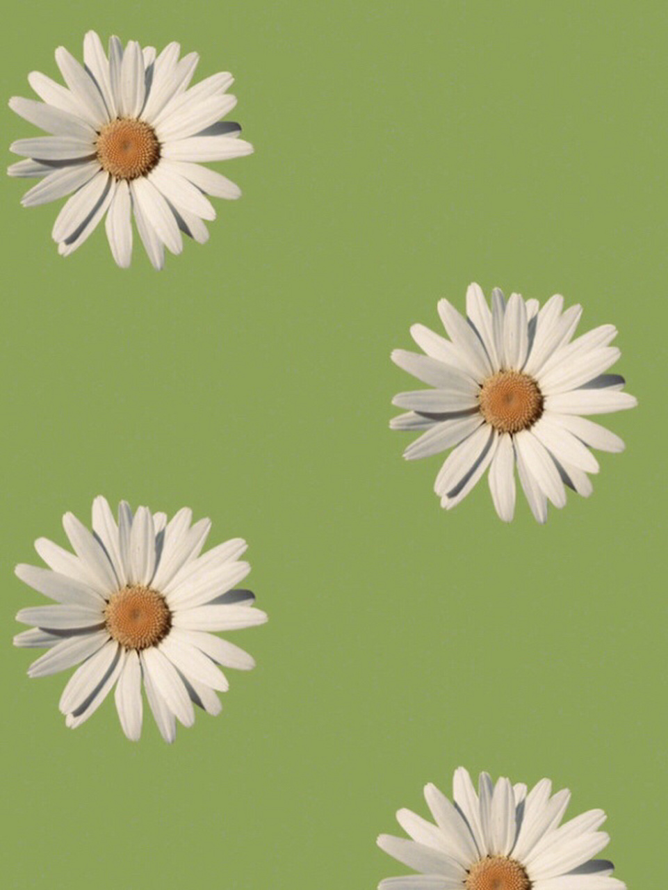 泫雅风壁纸  分享一款我今天早上刚用的壁纸18 喜爱到不行9999