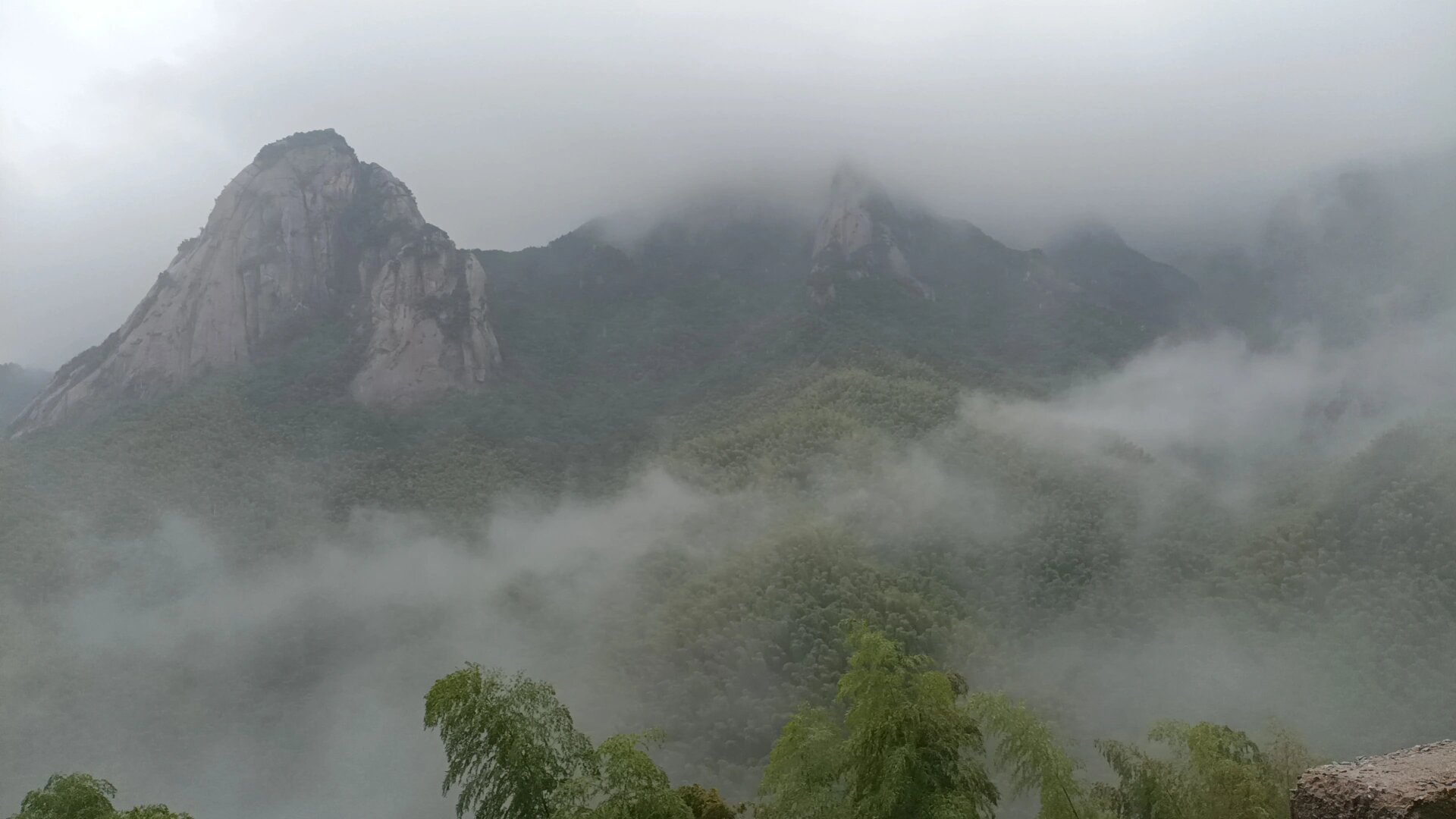 九华山翠峰寺网站(去九华山翠峰寺直接走后山吗)