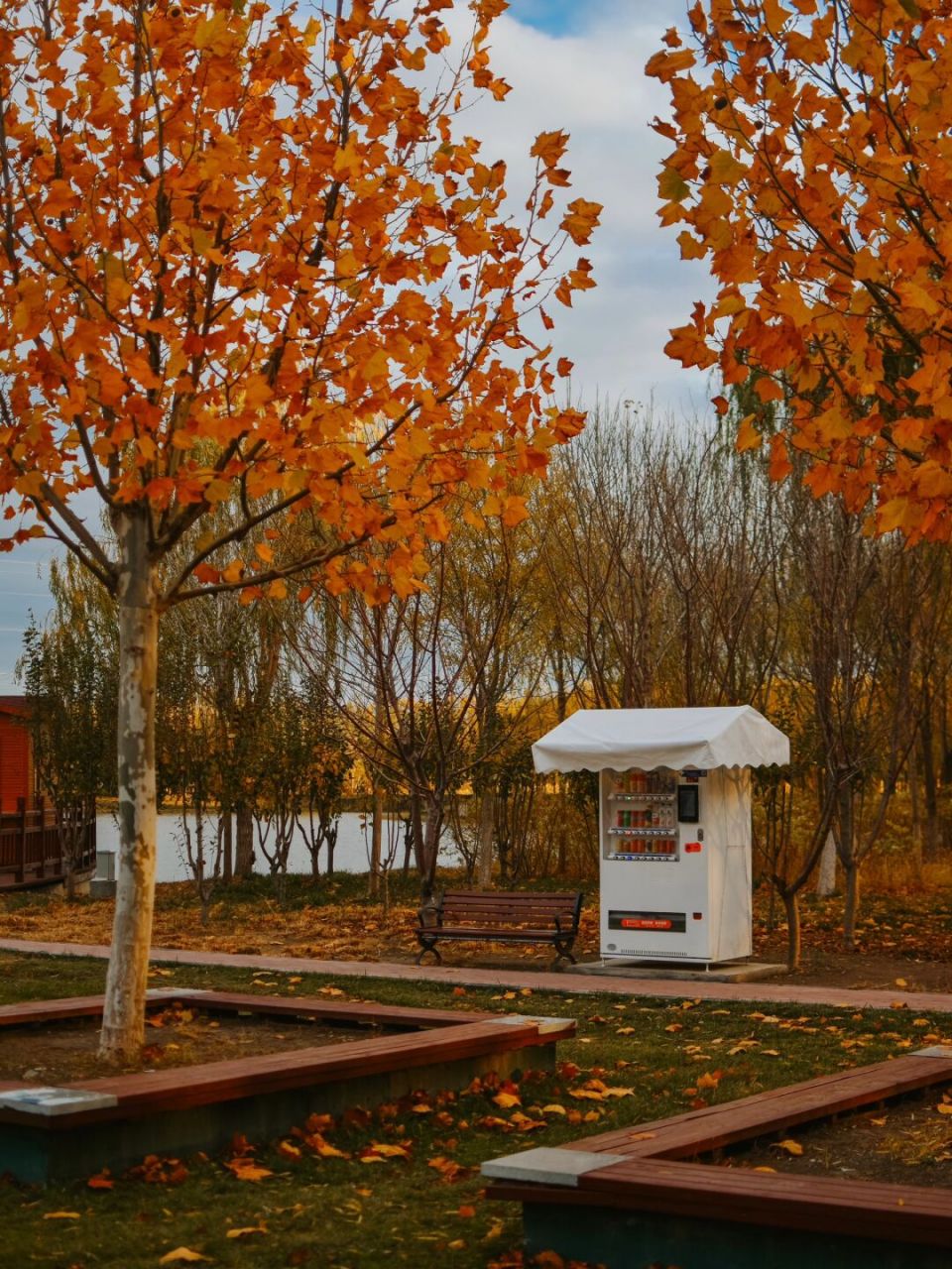 新立郊野公园 相比于西青北辰 距离上要更加的友好 公园内面积很大 很