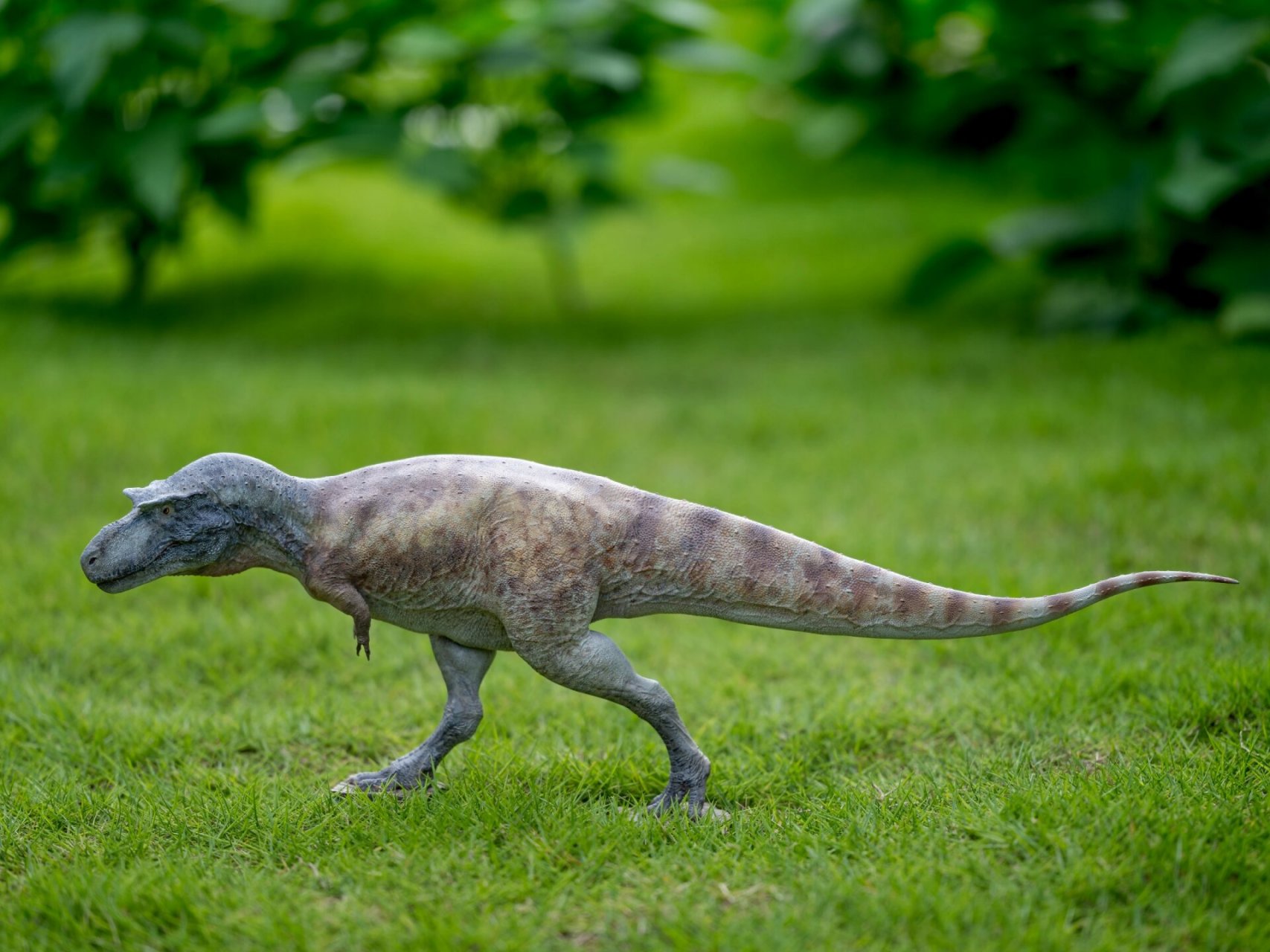 ae戈尔冈龙(恐龙gk分享贴第1/4篇)