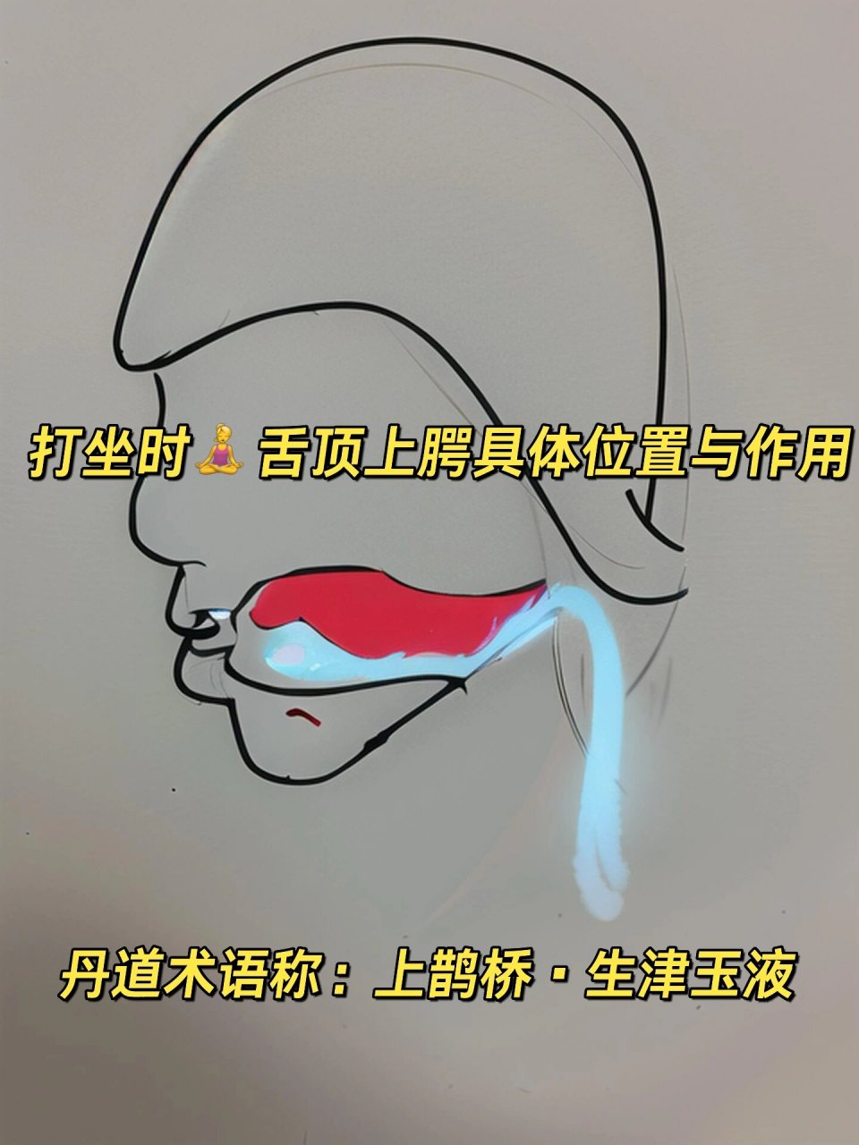 【舌顶上腭 是打坐♀️炼炁基础常识!