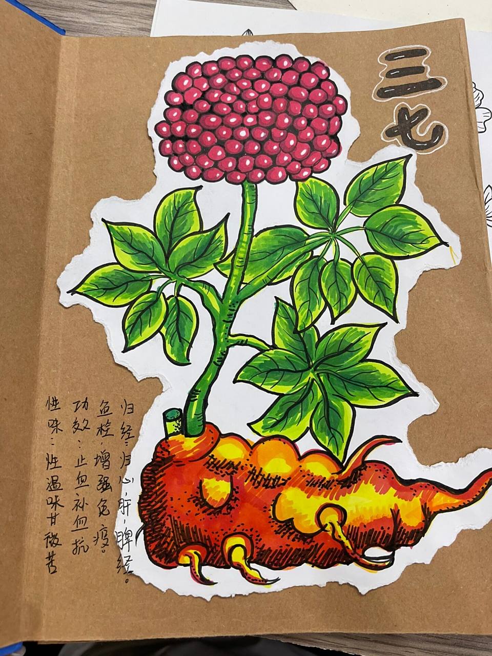 《本草纲目》绘本6-8岁儿童创意画 药材绘画