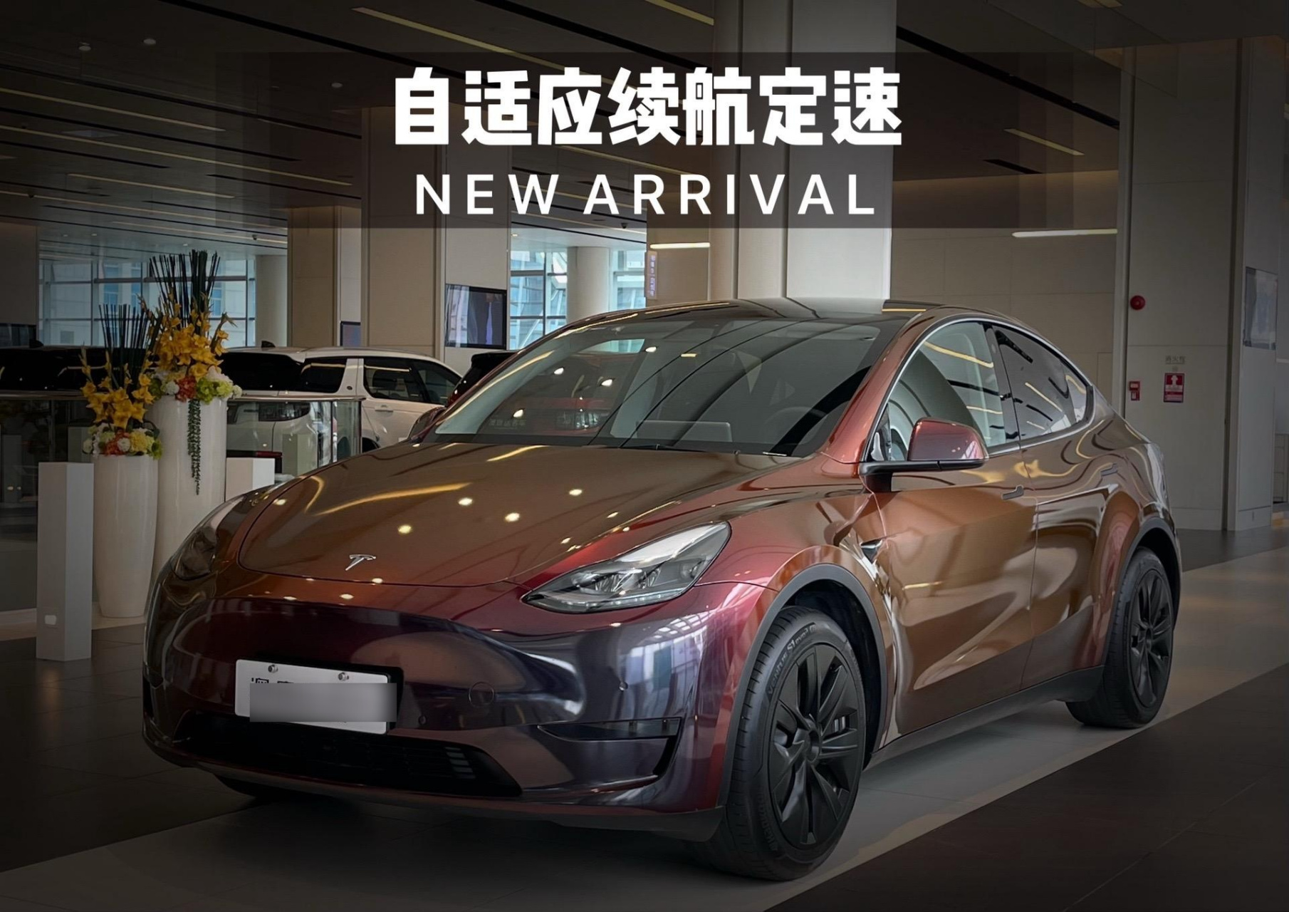 特斯拉model y2022款图片