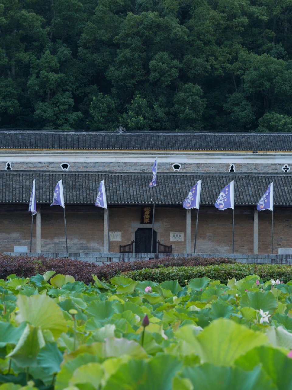 曾国藩故居 全景图图片