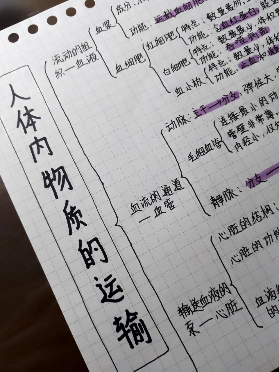 七下生物第四章思维导图 心存阳光,必有诗和远方955304