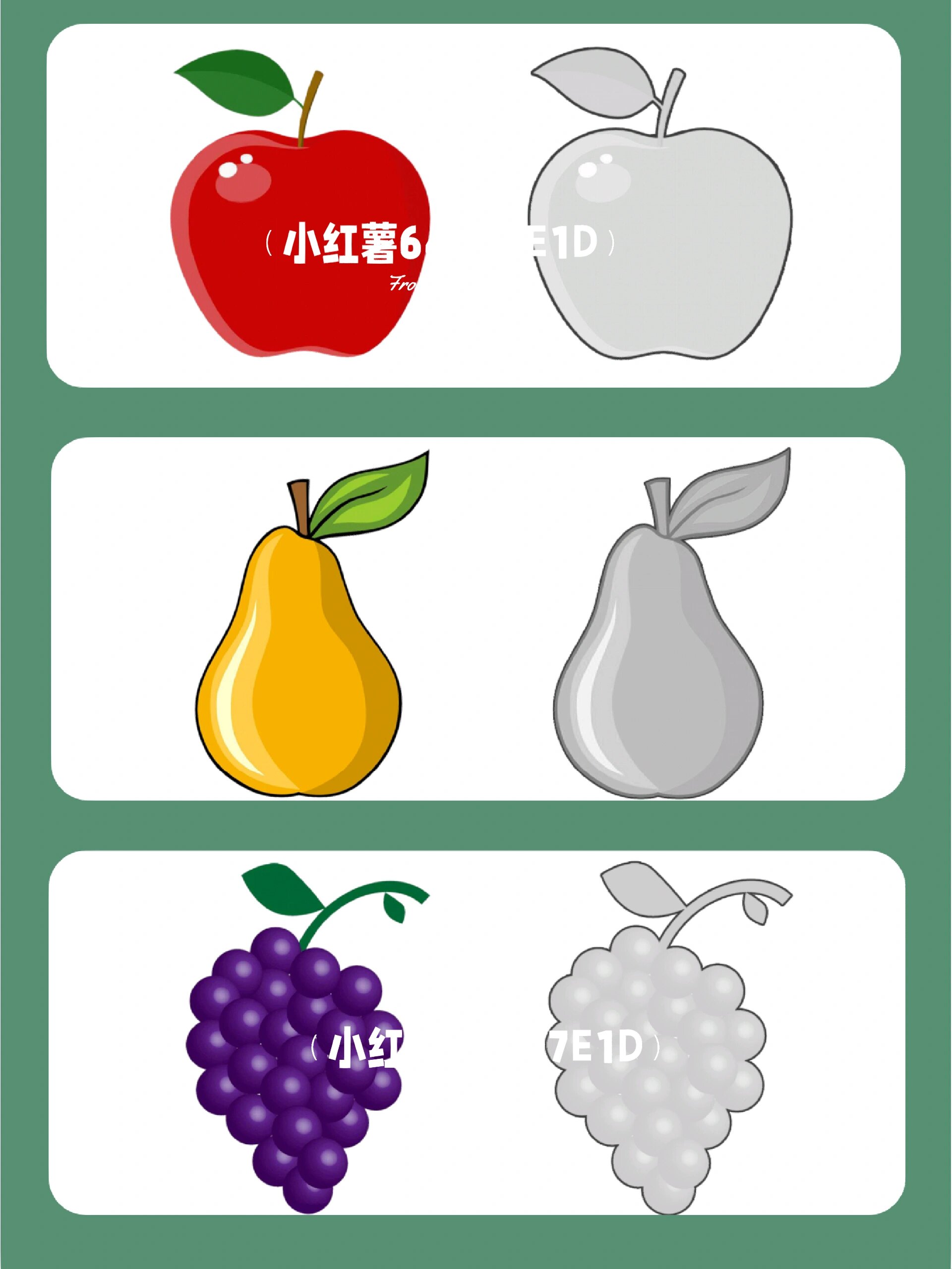 92观察梨子,苹果等水果的颜色,以水果的颜色为题材创编儿歌