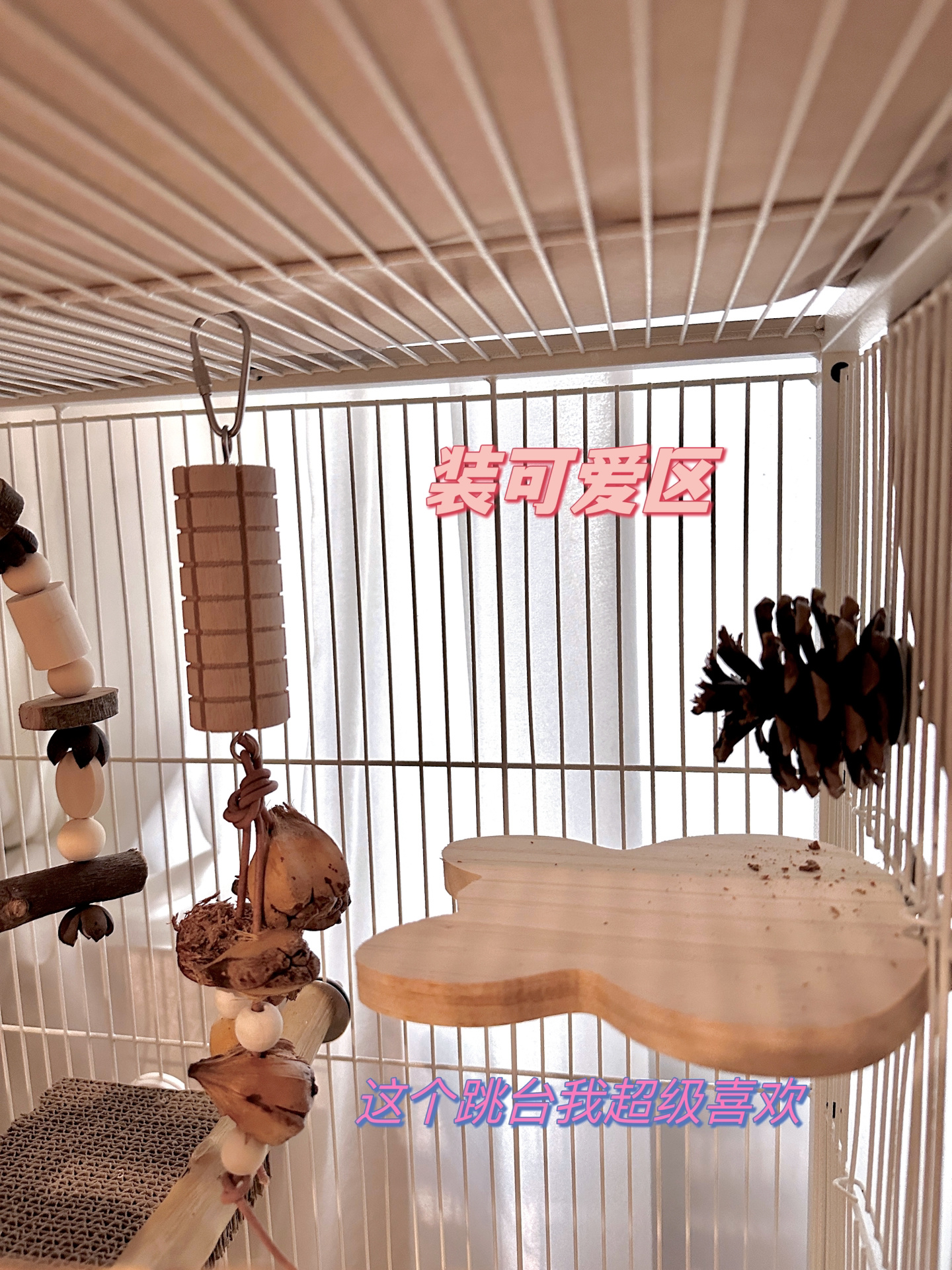 鹦鹉笼子布置分享 以及安全玩具 最喜欢给小鸡装修家了 笼内布置我会