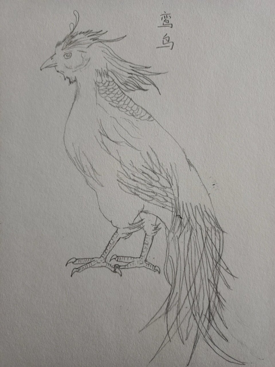 手绘山海经异兽⑩ 女床之山,有鸟名曰鸾鸟.鸾鸟自歌,凤鸟自舞.