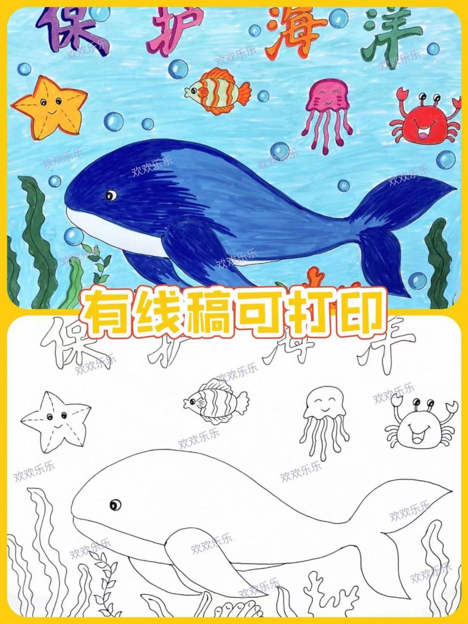 手抄报|保护海洋生态平衡手抄报主题画|保护海洋多样性手抄报儿童画
