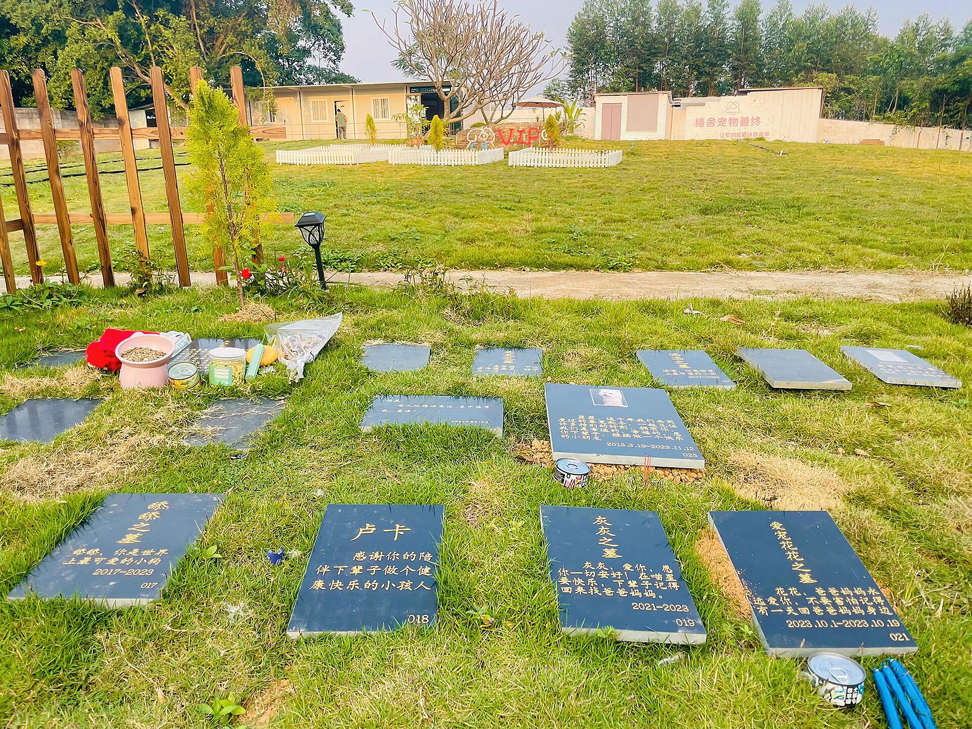 椿舍宠物墓地,让住在这里的毛孩子安心!