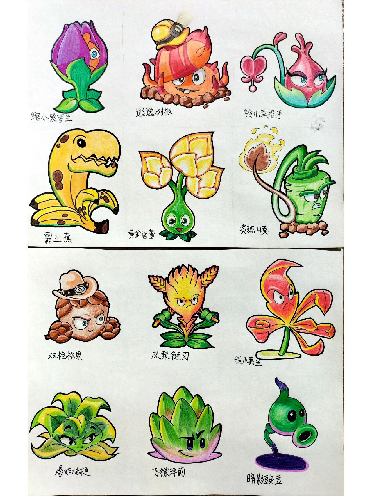 植物大战僵尸怎么画 简笔画