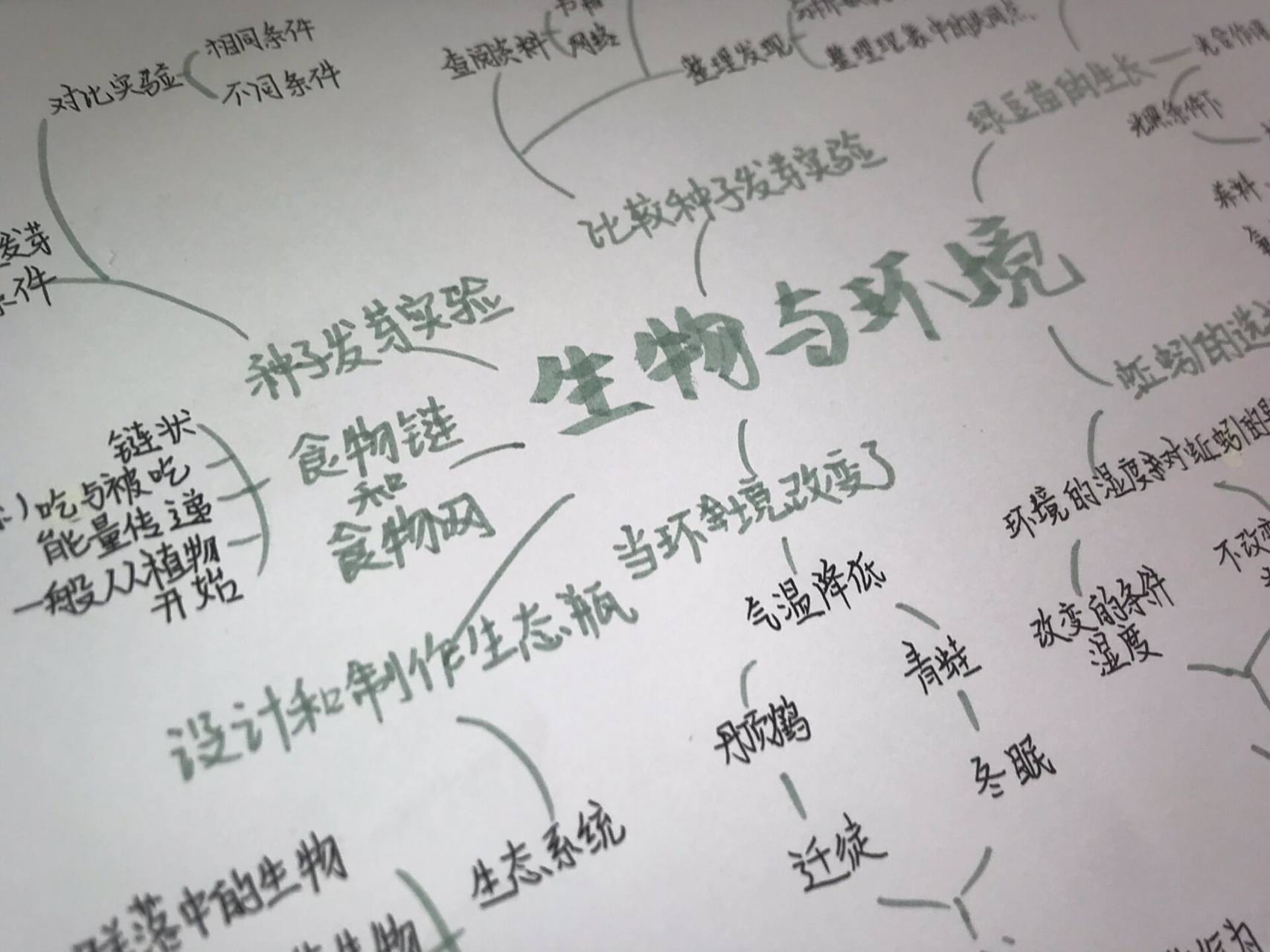 《生物与环境》思维导图