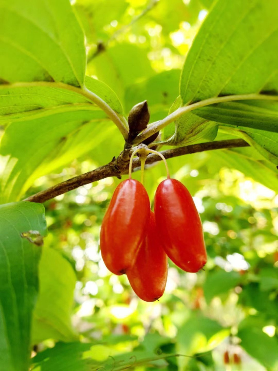 滨职科普#滨州职业学院[超话] 叮叮叮~上课时间到,科普小课堂开课啦!