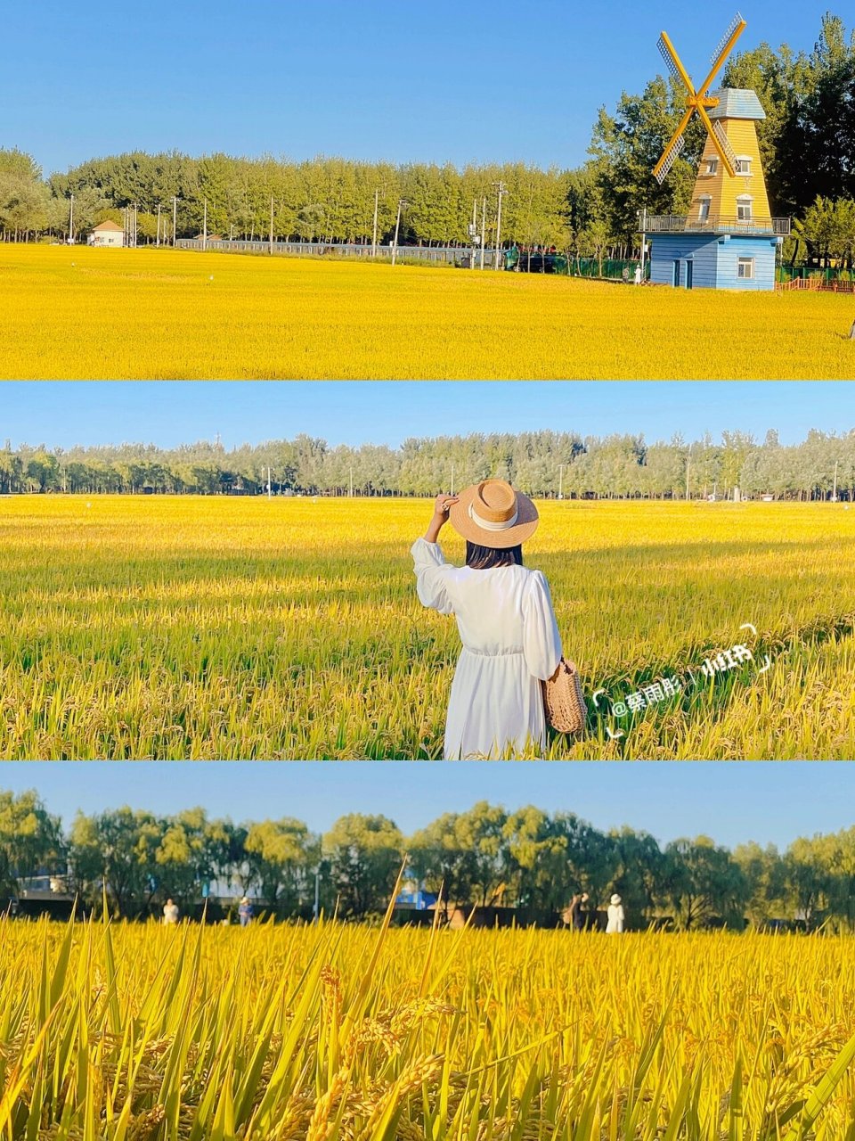 稻香小镇太治愈了91犹如走进宫崎骏的漫画里 你敢相信这里是北京吗