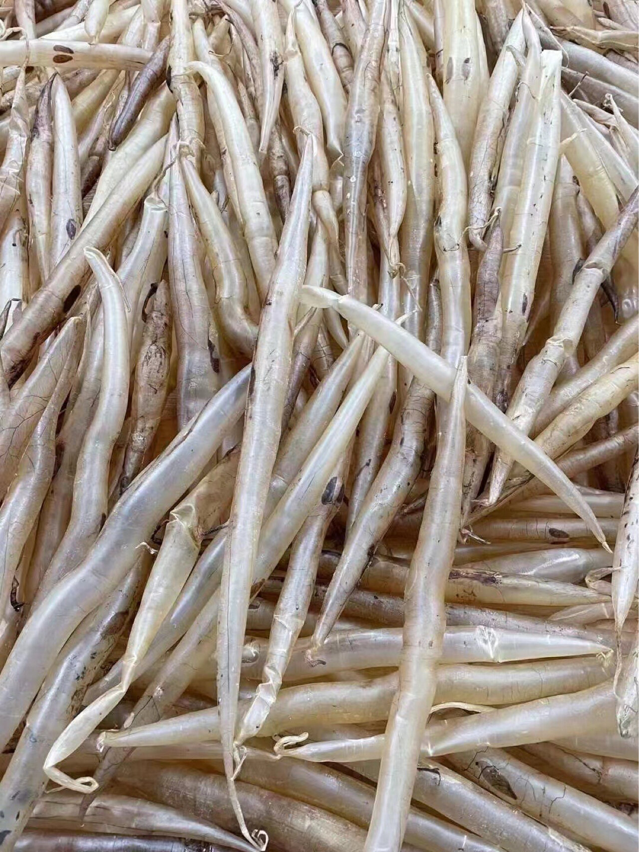 鱼肚采用水发的方法.可以直接将鱼肚切段放入水中浸泡5-10个小时.