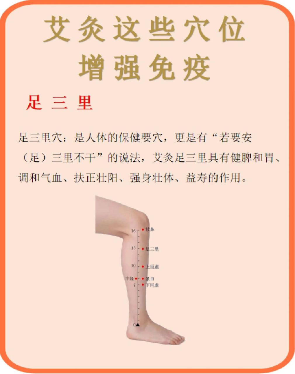 艾灸足三里:具有健脾和胃,调和气血,扶正壮阳,强身壮体,益寿的作用.