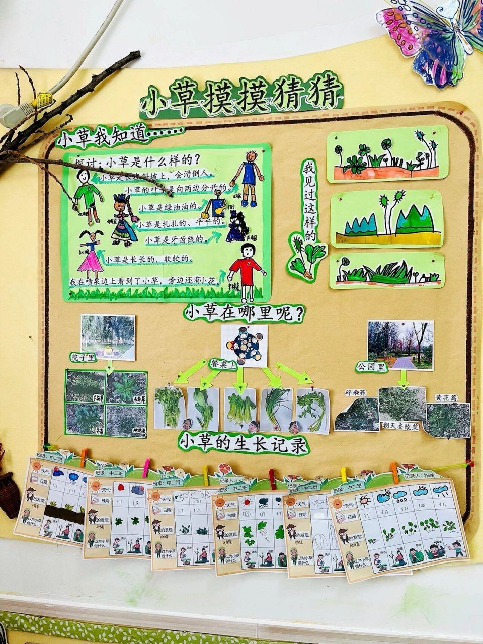 春天主题,幼儿园小草主题墙,小草环创 青青小草是春天的使者,绿色生命