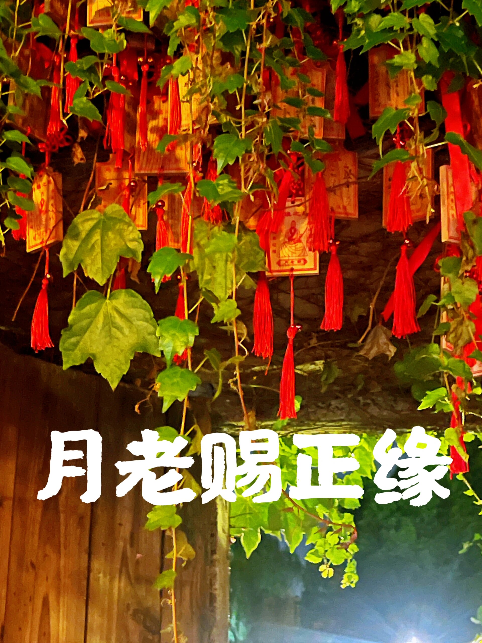 乌镇西栅月老庙,月老赐正缘   非常灵验!