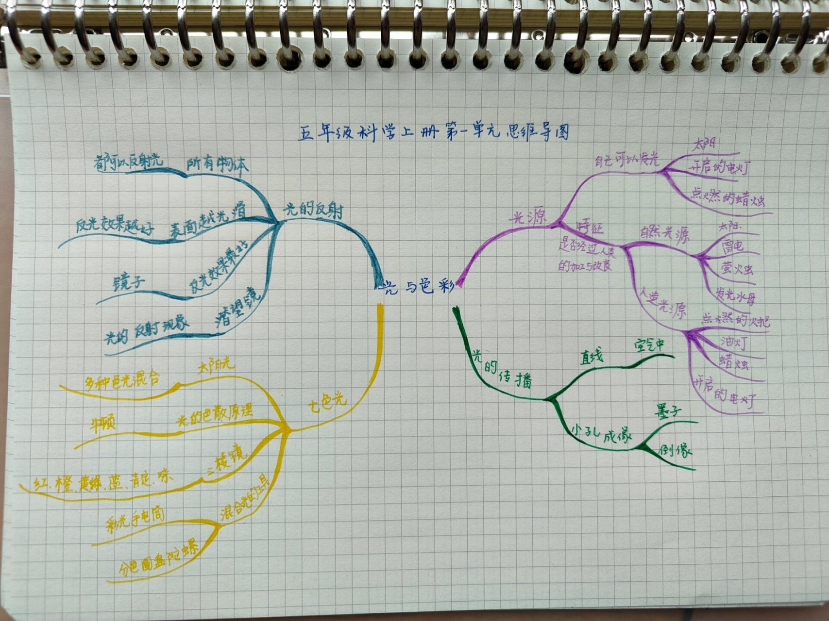 思维导图科学五年级图片