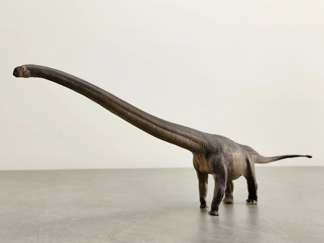 爷青回,马门溪龙模型