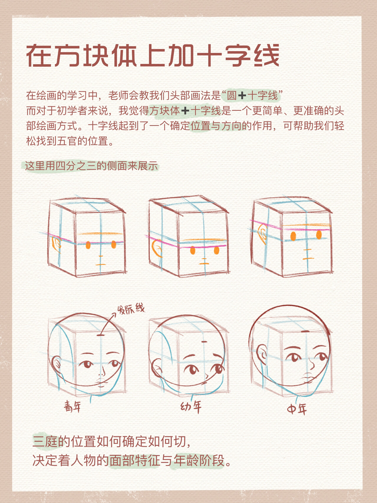 【头部速写四步法】手绘教程|教你如何画头部