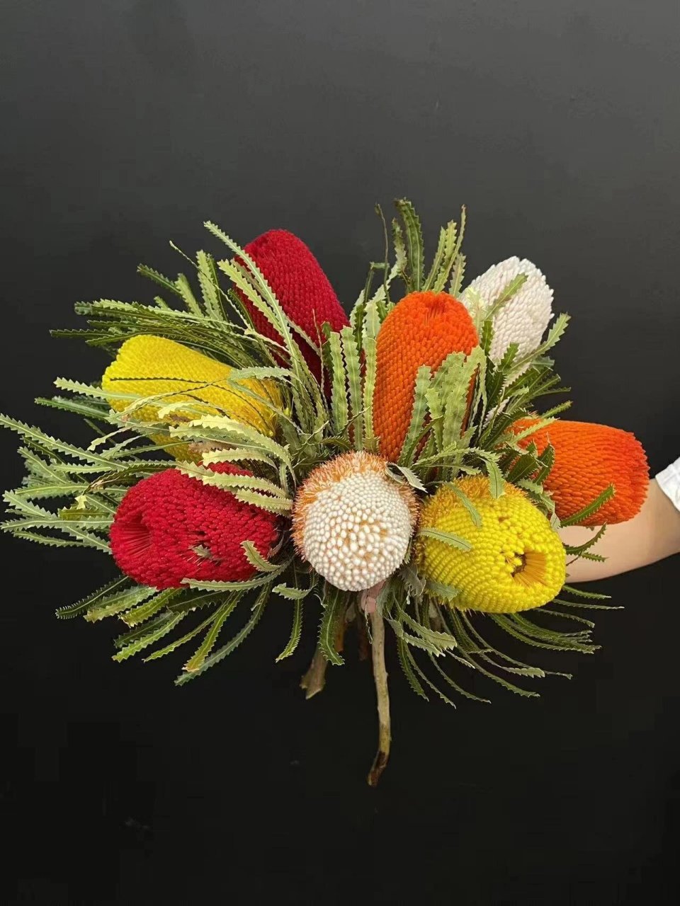 南非花材佛塔多款颜色,可做干花,花期长 南非佛塔,又名:斑克木.