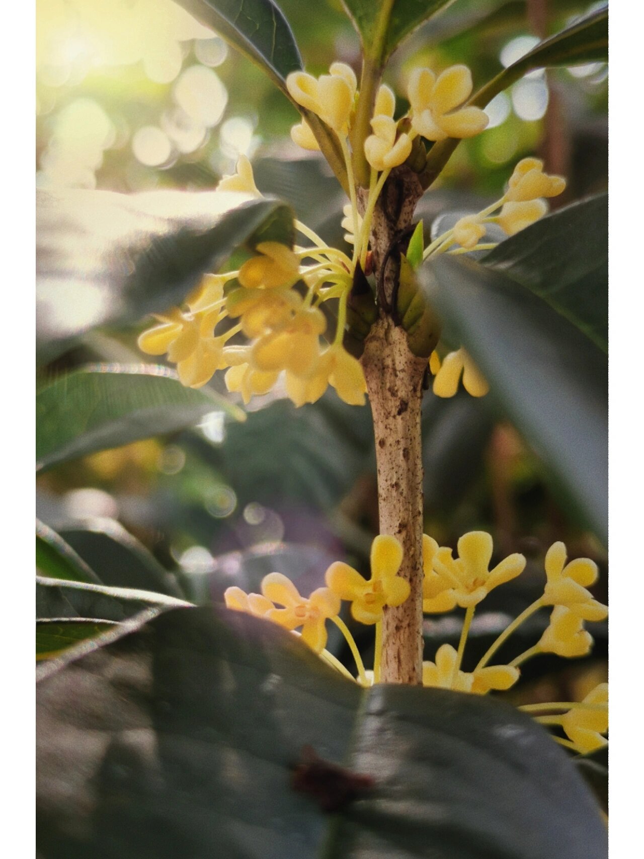 感受阳光的温度08 又再一次带小老弟爬高榜山 这回换一条路线走