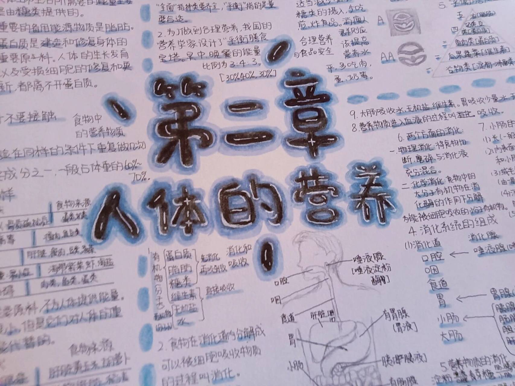 七年级下册生物第二章思维导图 笔, 吴竹软头笔,樱花秀丽笔,樱花高光