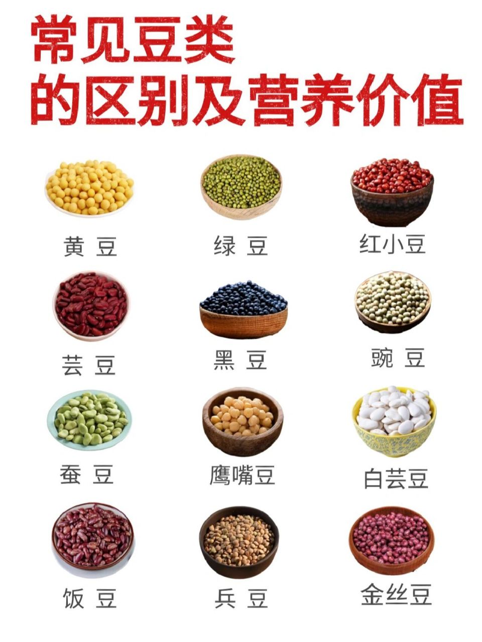 豆的种类名称和图片图片