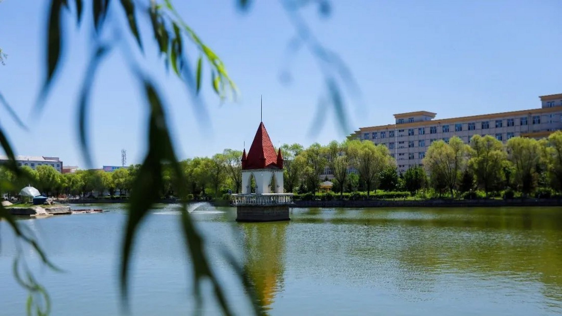 (图片源自"哈尔滨师范大学"微信公众号)