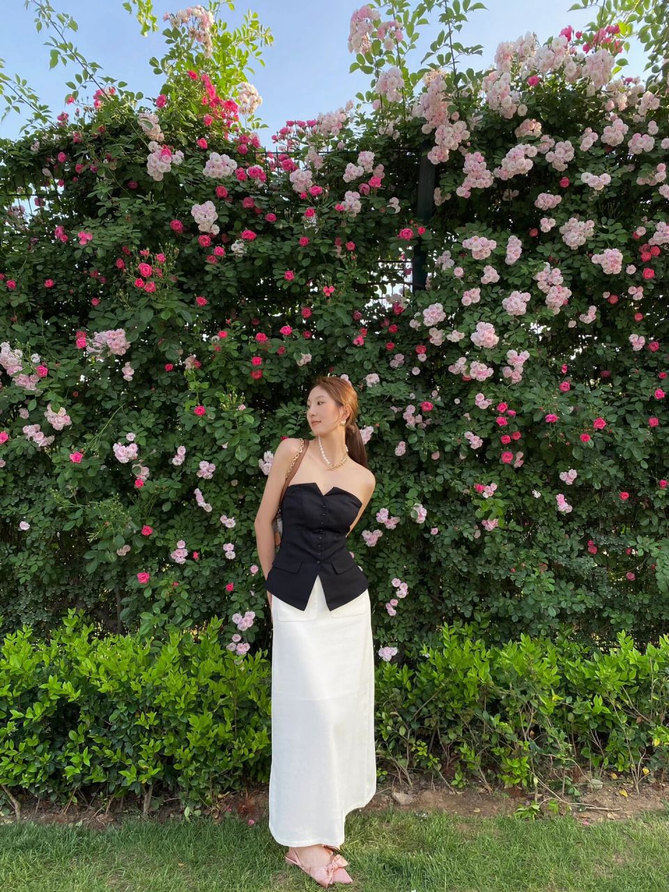 西安世博园 五月的天和蔷薇花 世博大道的蔷薇花又开啦 每年都来拍照