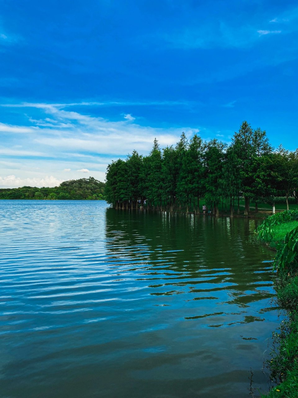 东莞旅游景点|松湖烟雨  地址:华为三丫坡 导航大学路口停车场(波浪