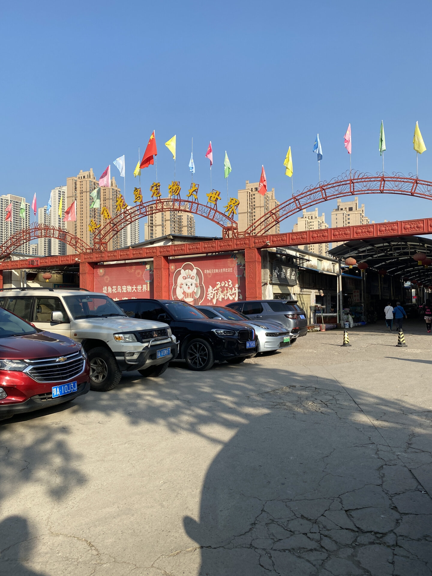 武汉最大花鸟宠物市场 堤角花鸟市场太好玩啦 海陆空动物应有尽有逛一