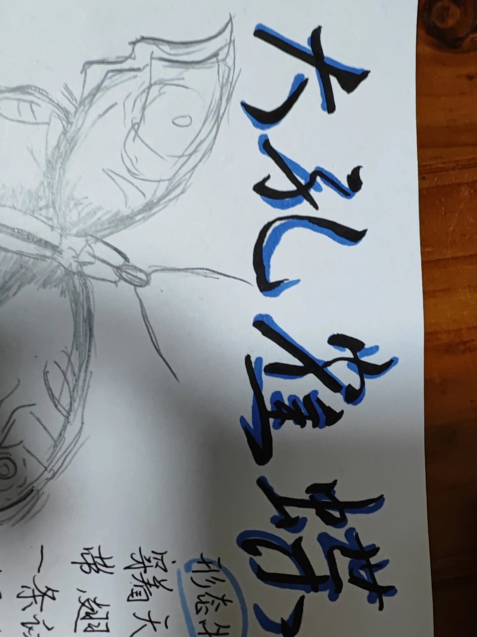 昆虫记昆虫档案一一大孔雀蝶 抄作业啦