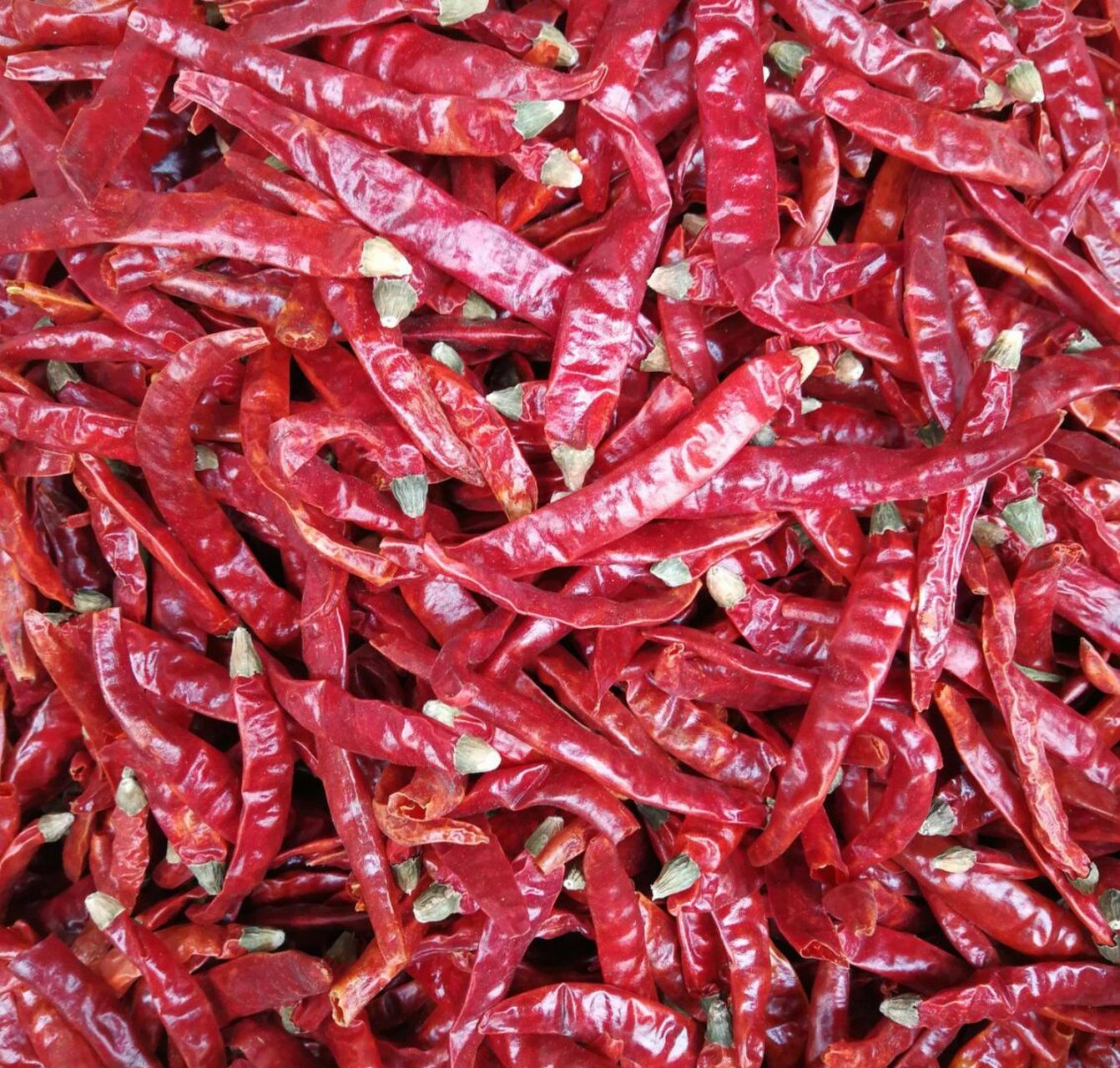 干辣椒是常见的调味品,常常用于烹调各种菜肴.