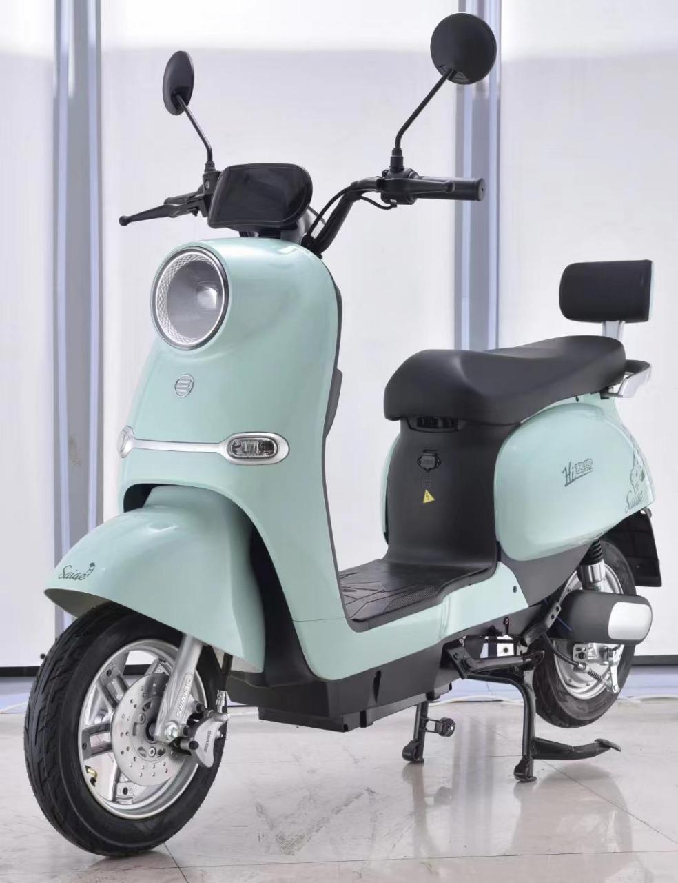 赛鸽电动车乐可款,五块大电池,续航百公里!