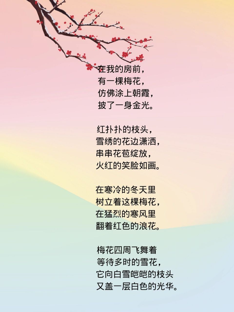 四年级《白桦》仿写 --梅花 四年级《白桦》仿写 --梅花