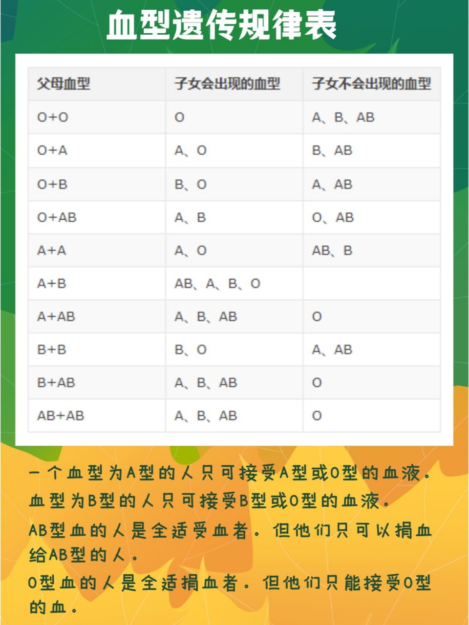 abo血型遗传图片