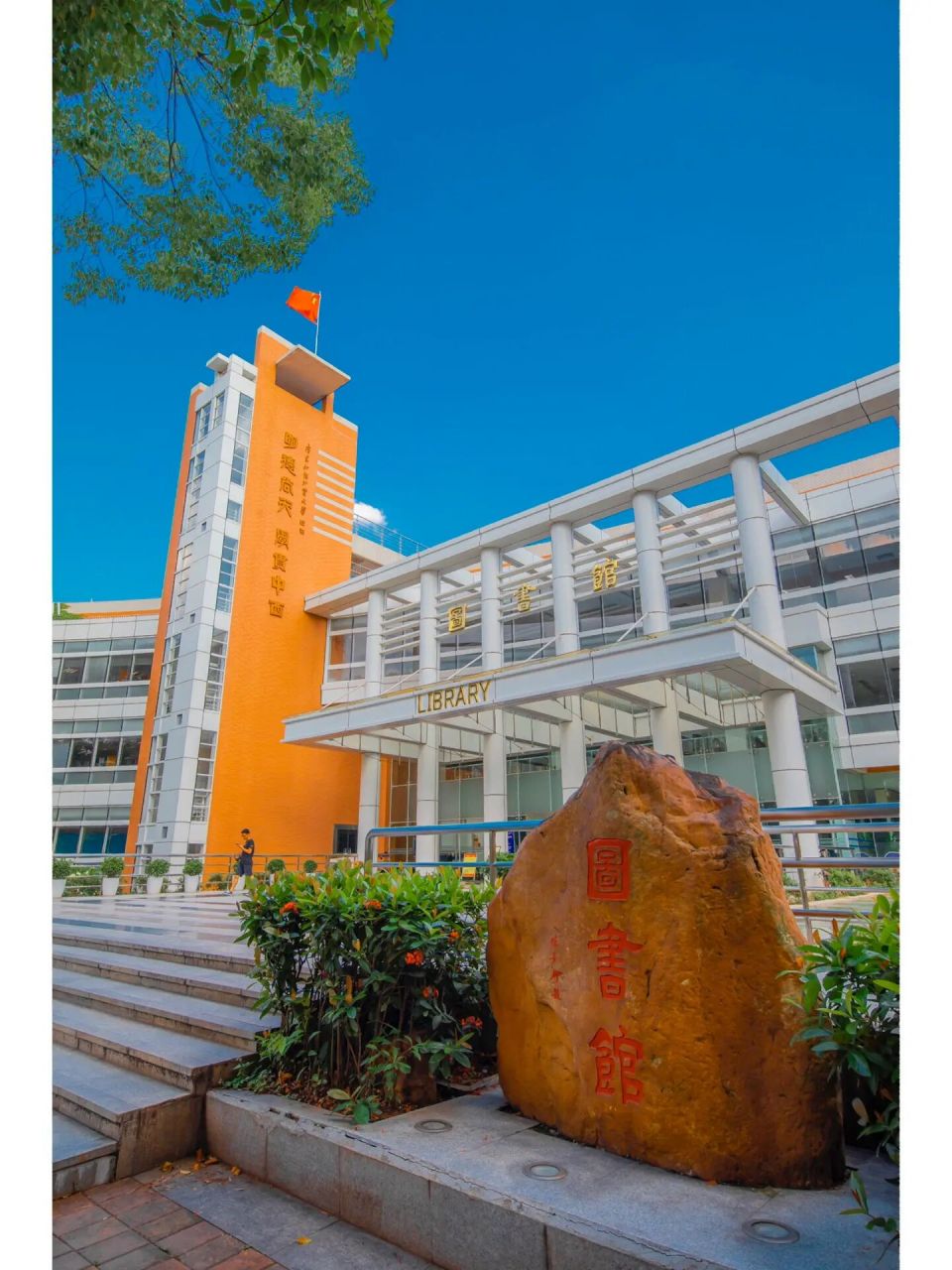 外贸大学图片