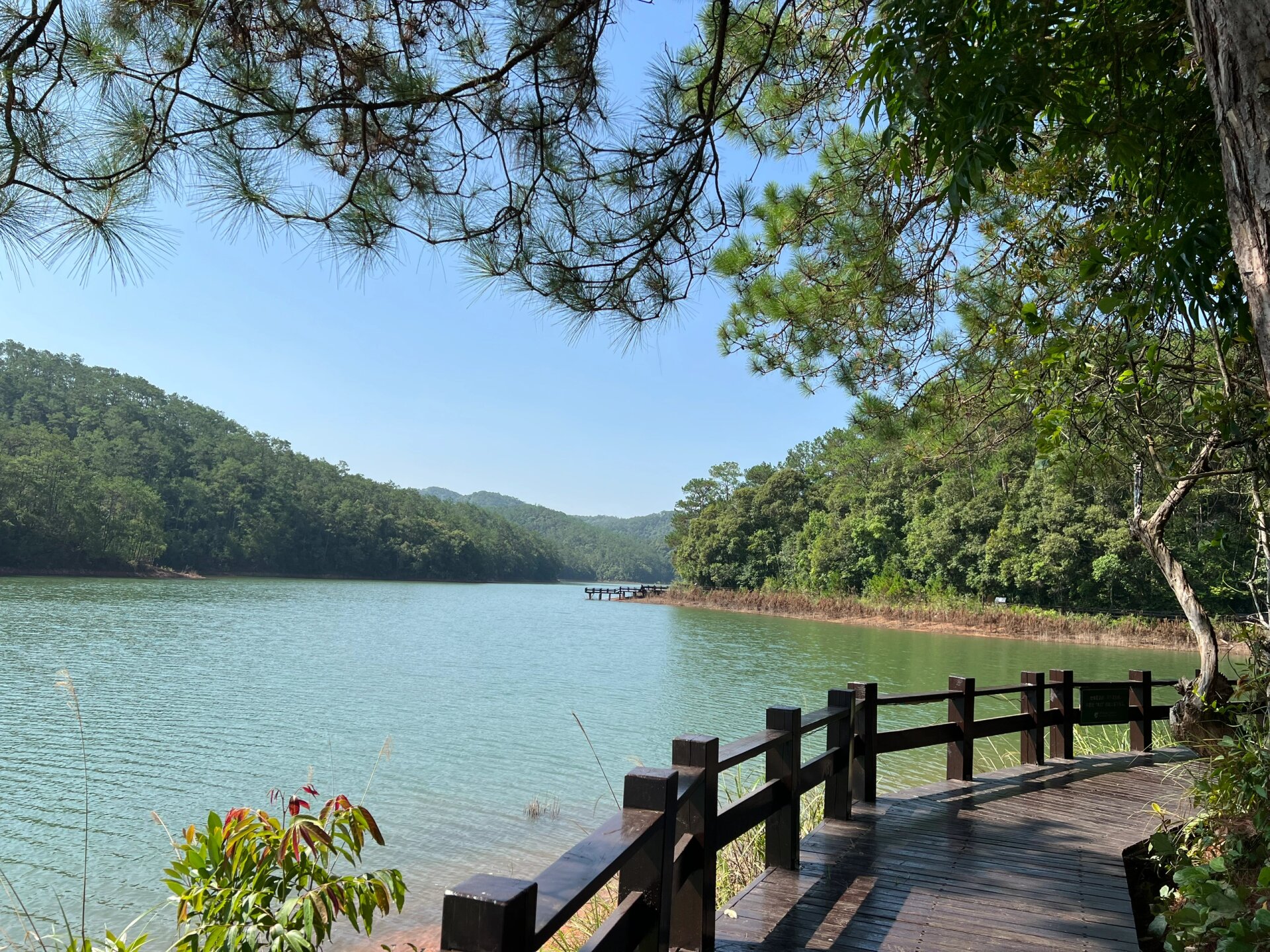 普洱百来不厌的梅子湖公园木栈道